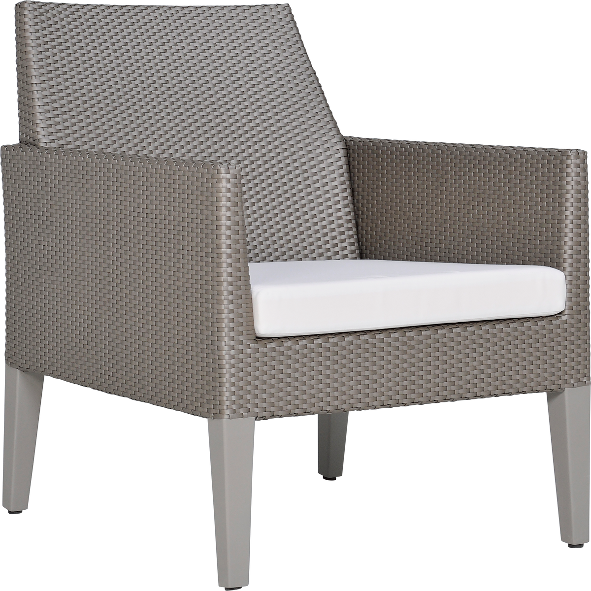 Cortino Lounge Chair by JANUS et Cie in Palladium