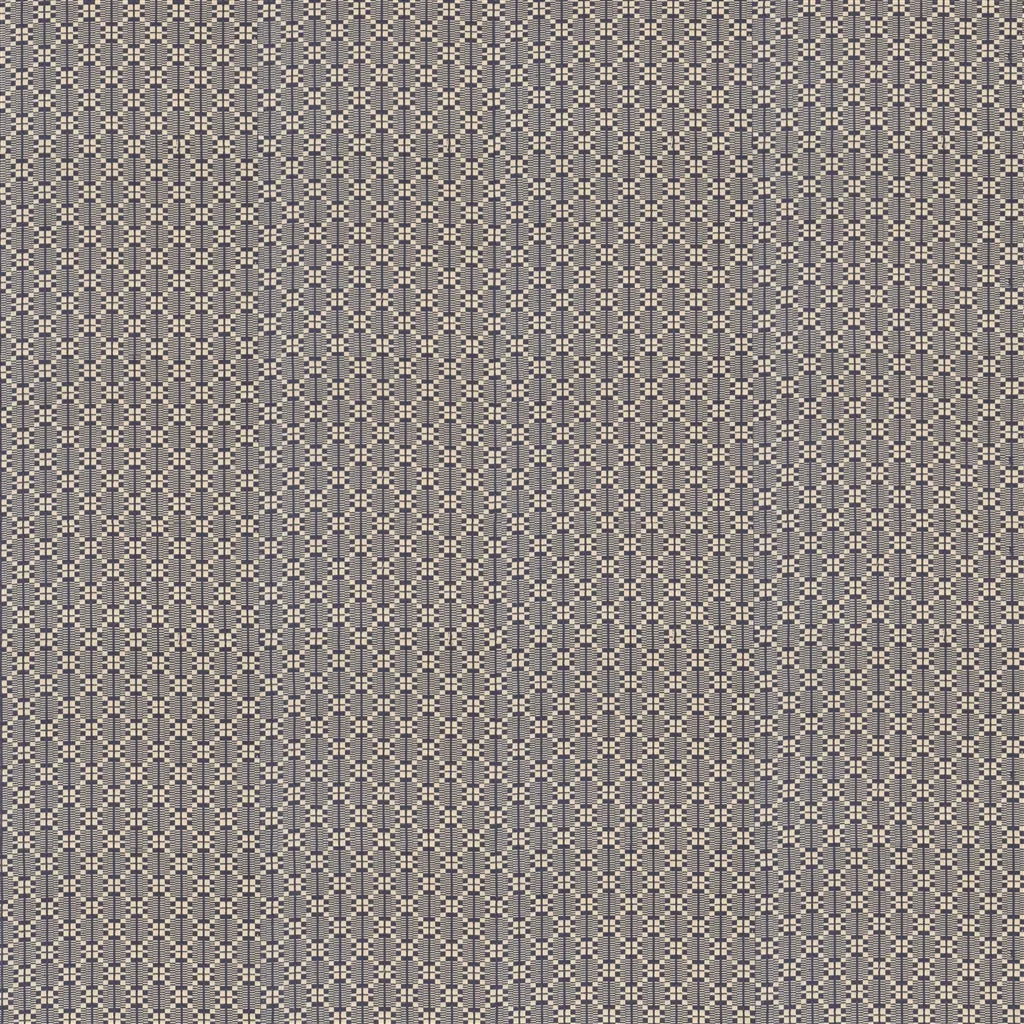 Fishers Point Check Fabric by Ralph Lauren in Blue