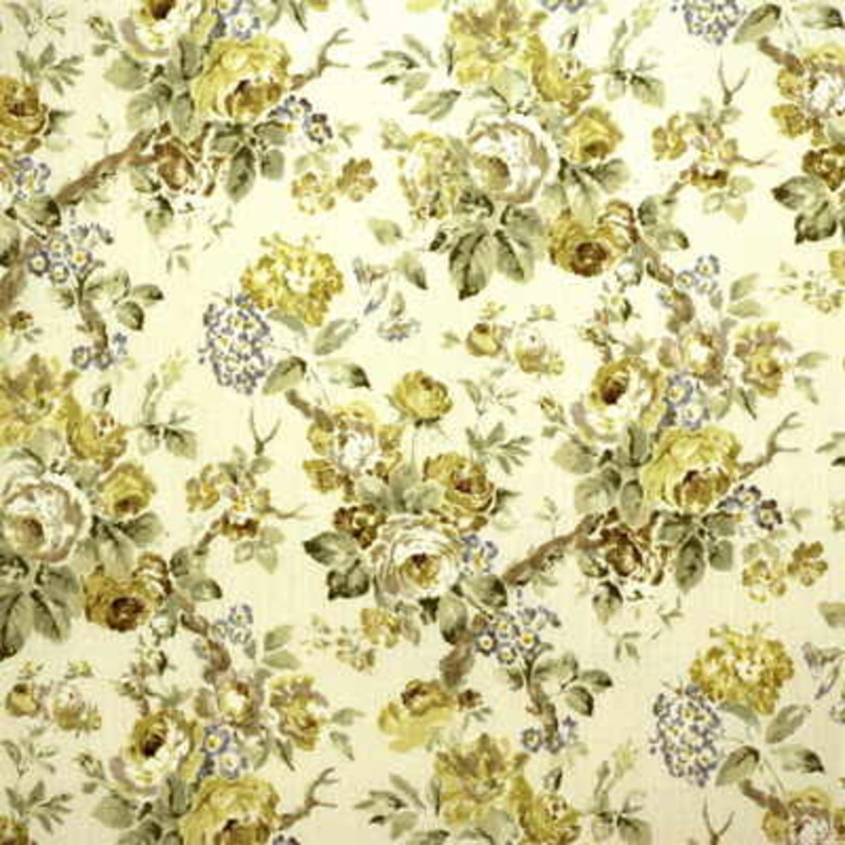 Garden Roses - Lime/Leaf
