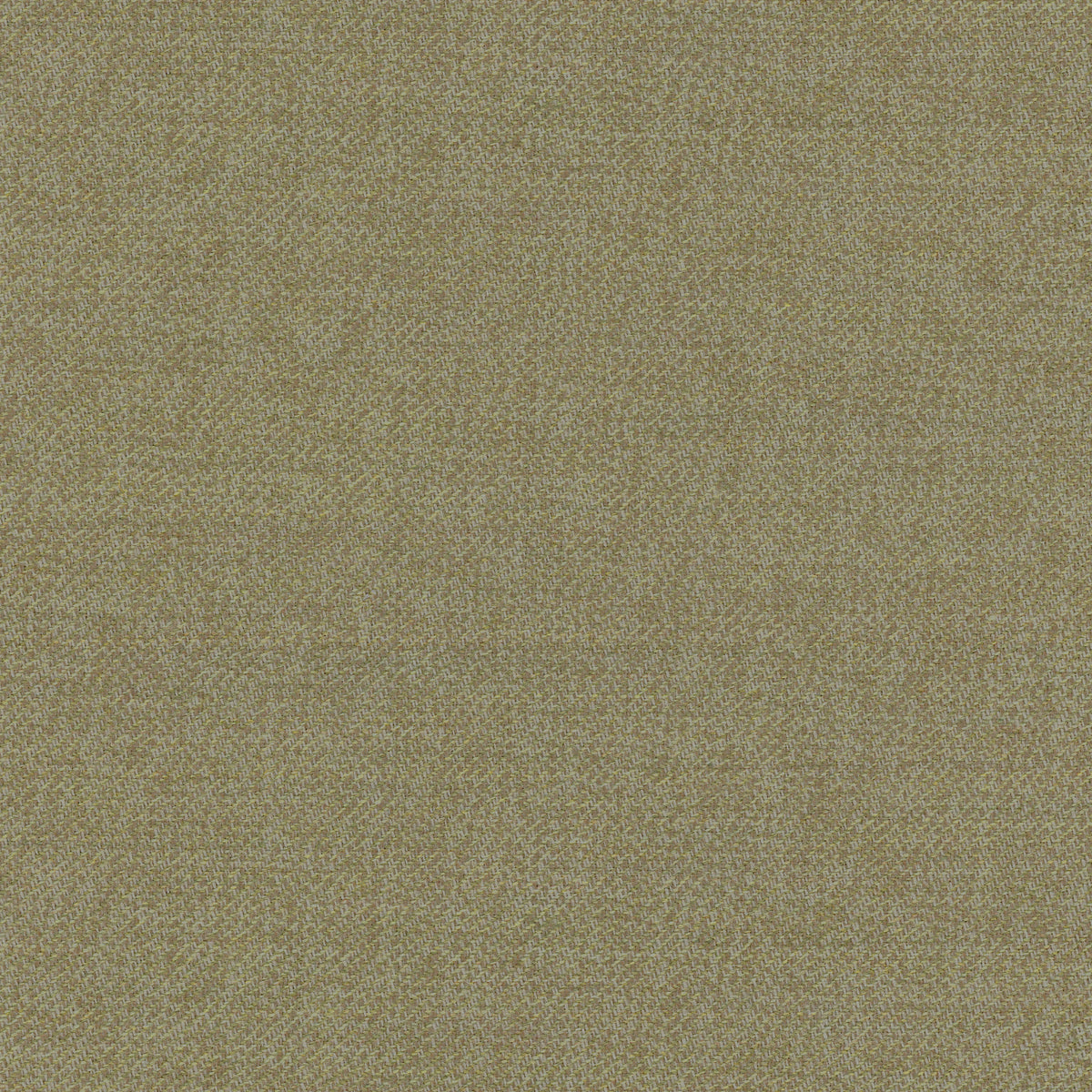 Quartzite Wool - Tarragon