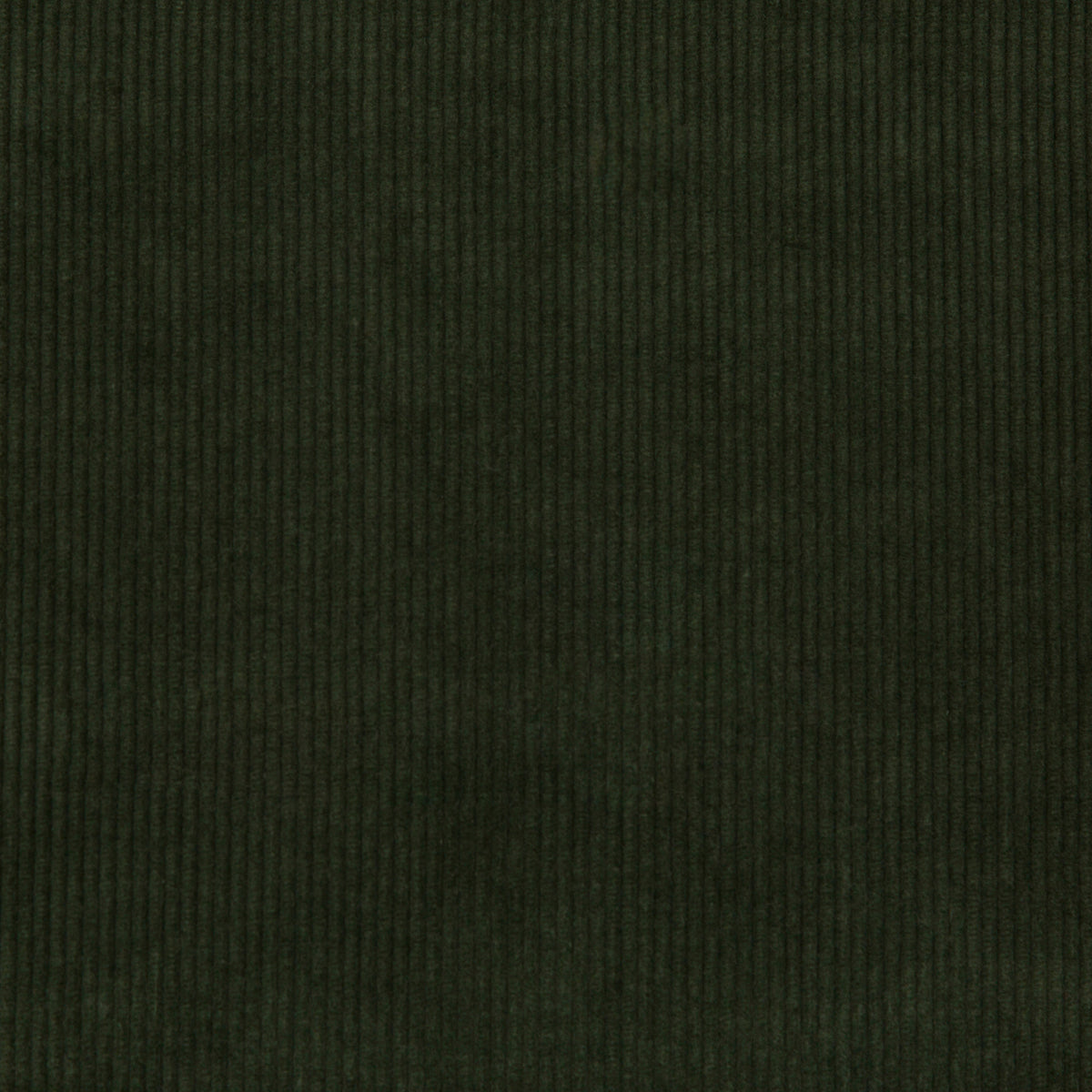 Saranac Cord - Loden