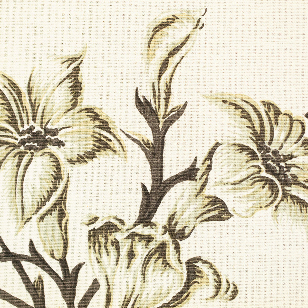 Lilies - Monochrome