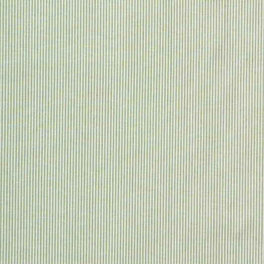Captiva Ticking Fabric by Lee Jofa in Green