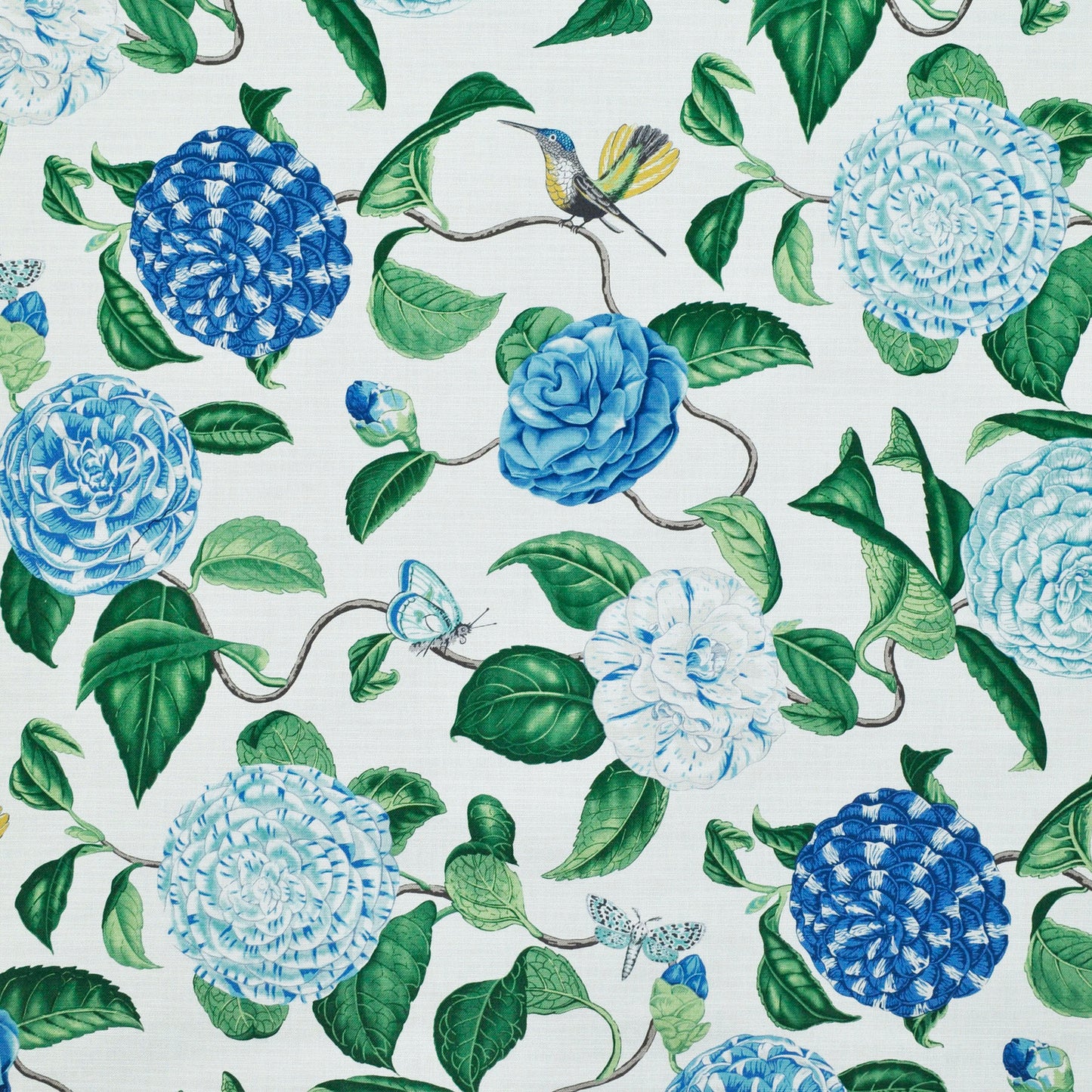 TRH2264 Fabric