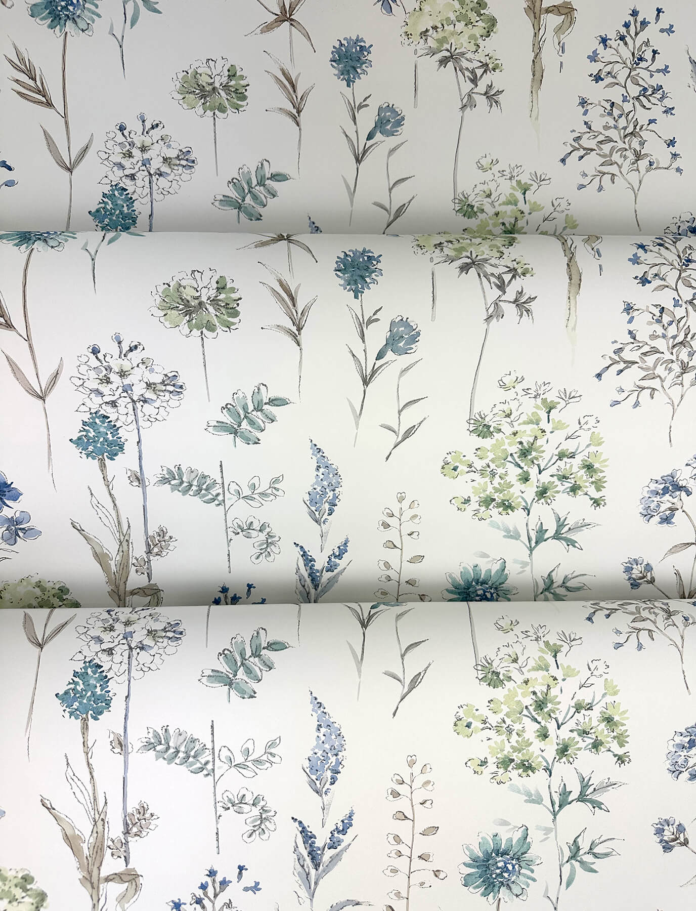 Wildflower Bergamot Wallpaper