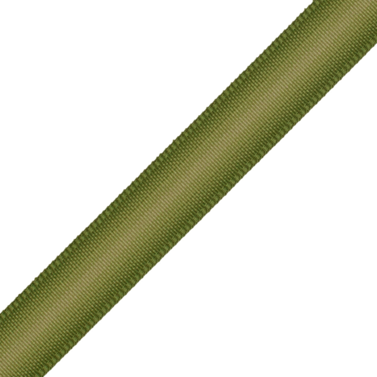 Strata Ombré Border Trim by Samuel & Sons in Tea Leaf