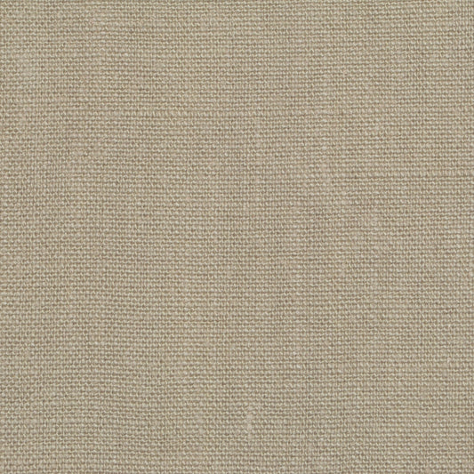 TRH2399 Fabric