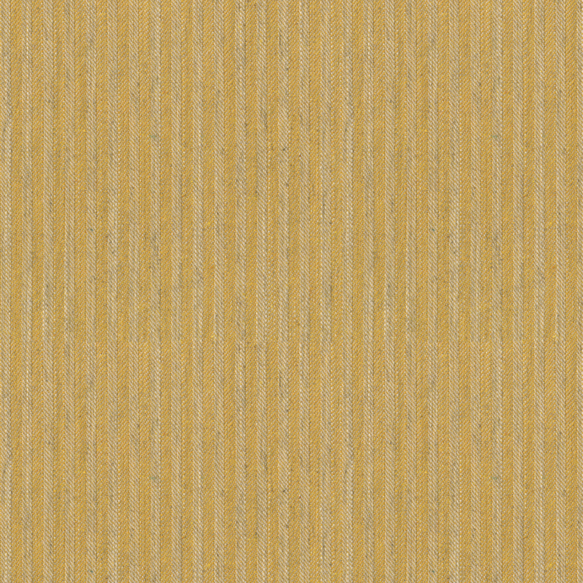 Joy Fabric by Brunschwig & Fils in Gold