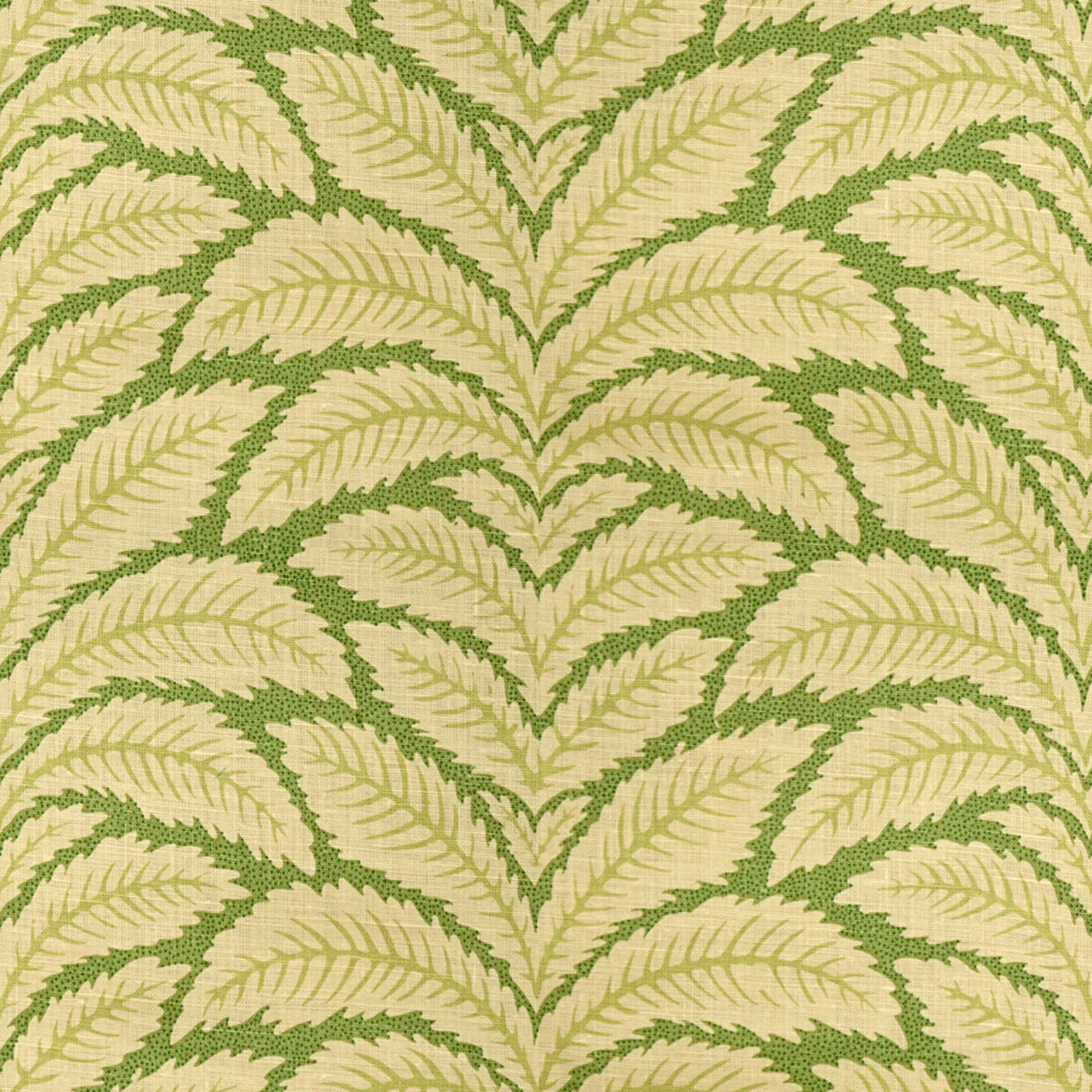 Talavera Linen Fabric by Brunschwig & Fils in Leaf