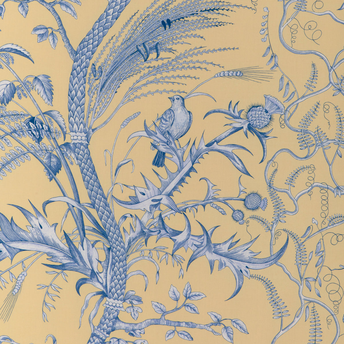 Bird And Thistle Ii Fabric by Brunschwig & Fils in Sun