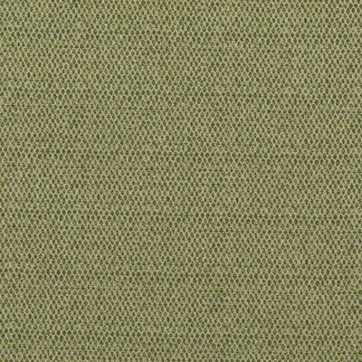 Pednor Fabric by G P & J Baker in Green