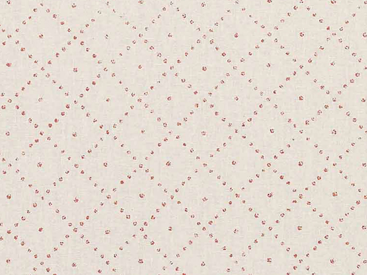 Bindu Raspberry