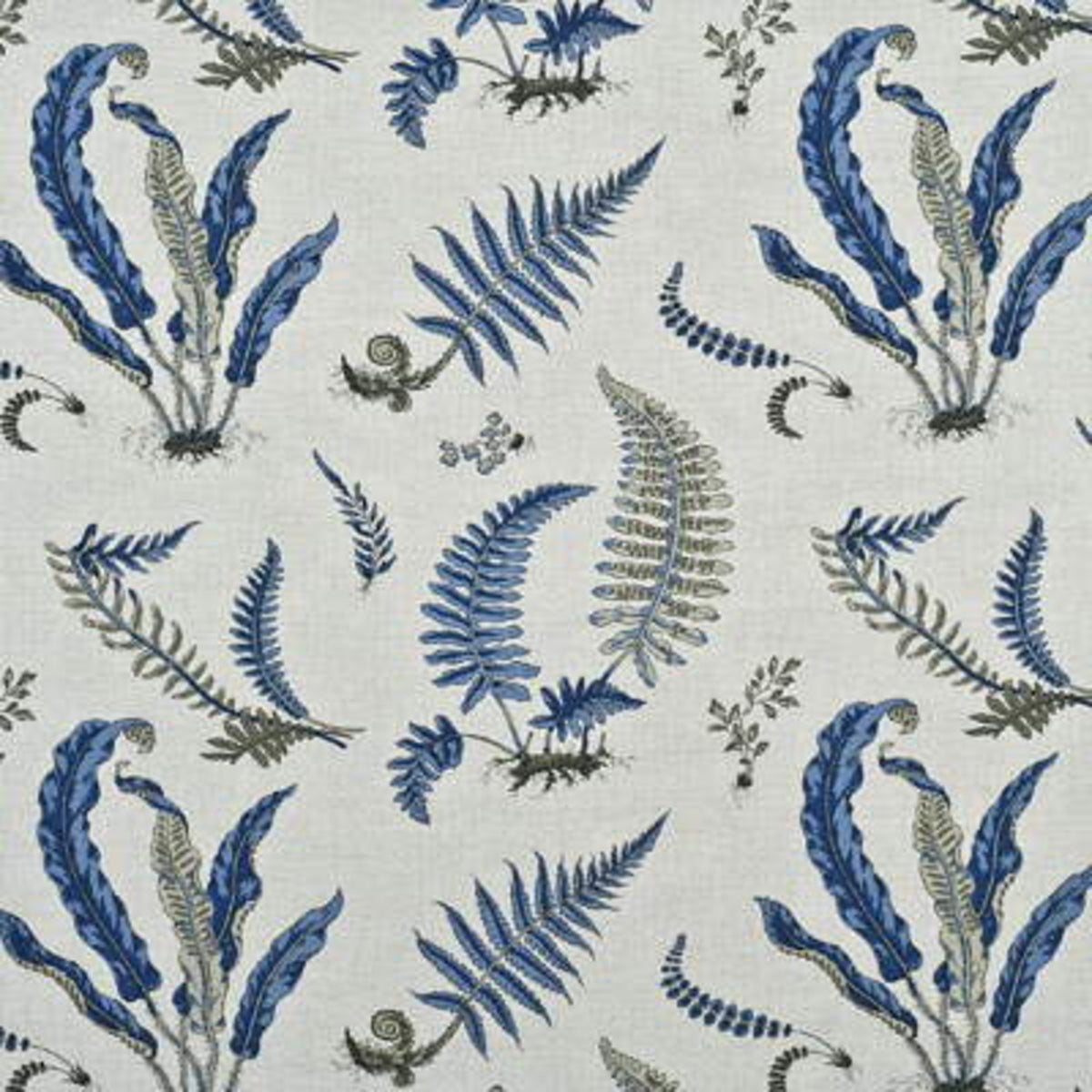 Ferns - Indigo/Linen