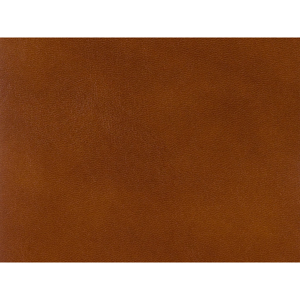 Old English Antiques Leather by Brunschwig & Fils in Brandy