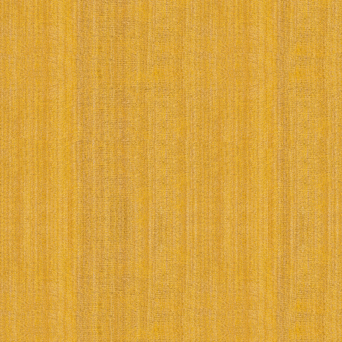 Vendome Strie Silk Velvet Fabric by Brunschwig & Fils in Gold