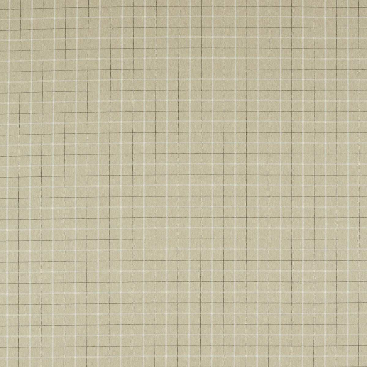 Thornton Flax fabric by Clarke & Clarke