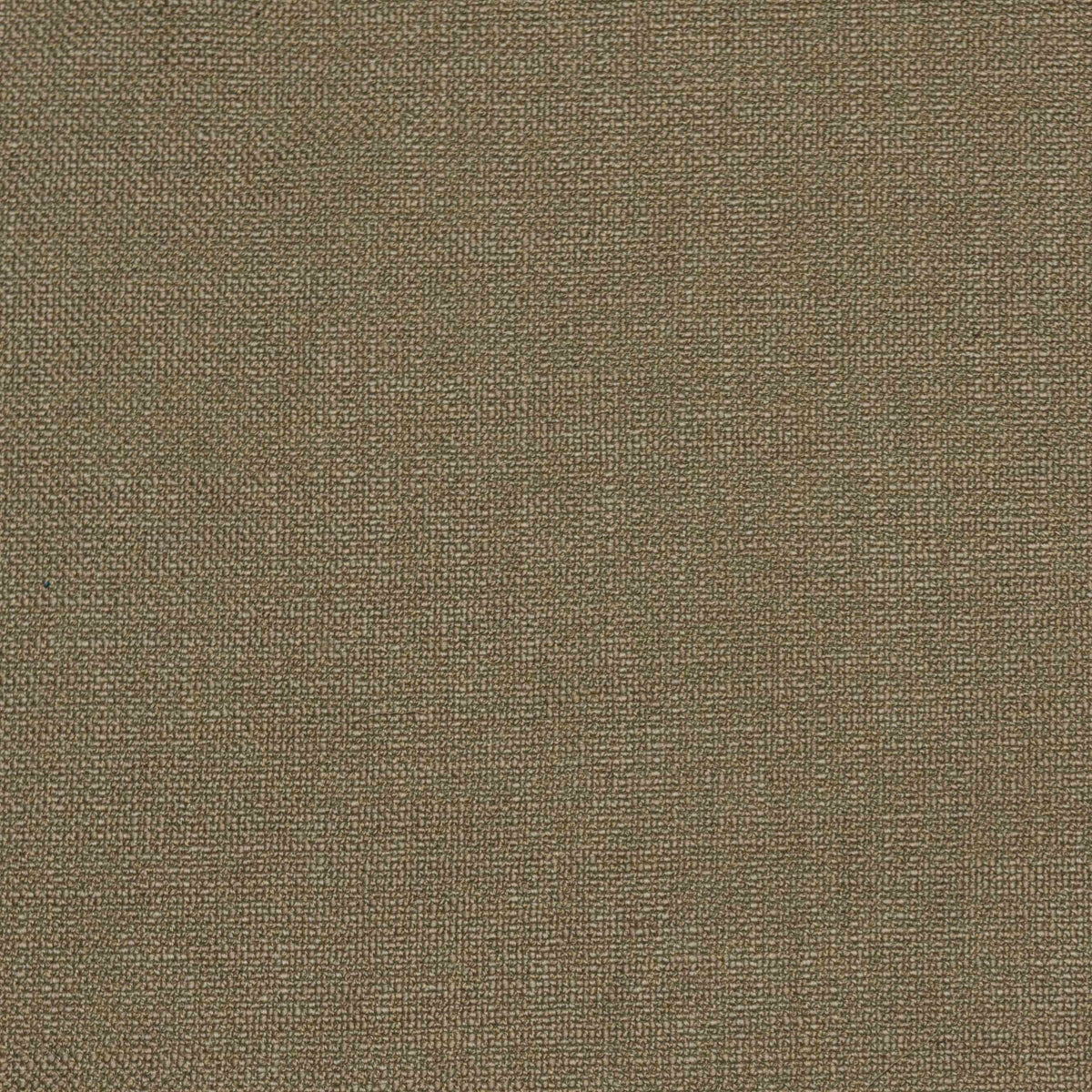 Shaba Fabric by Gaston y Daniela in Verde