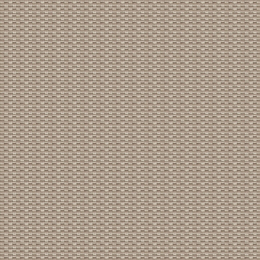Isamu Fabric by Gaston y Daniela in Tostado