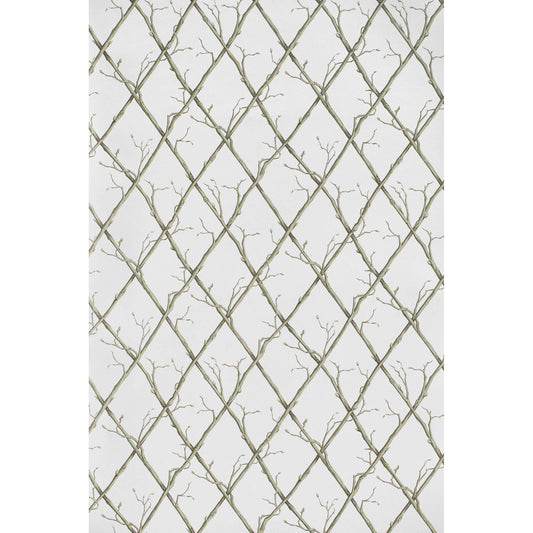 Twig Trellis Wp - Green