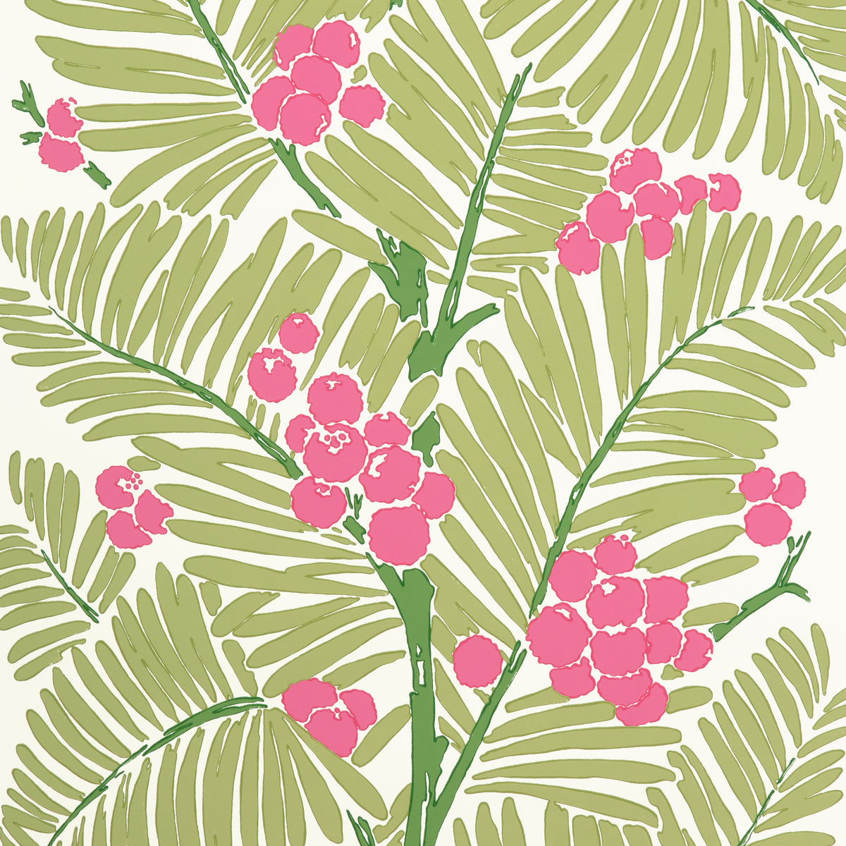 Palmar - Spring