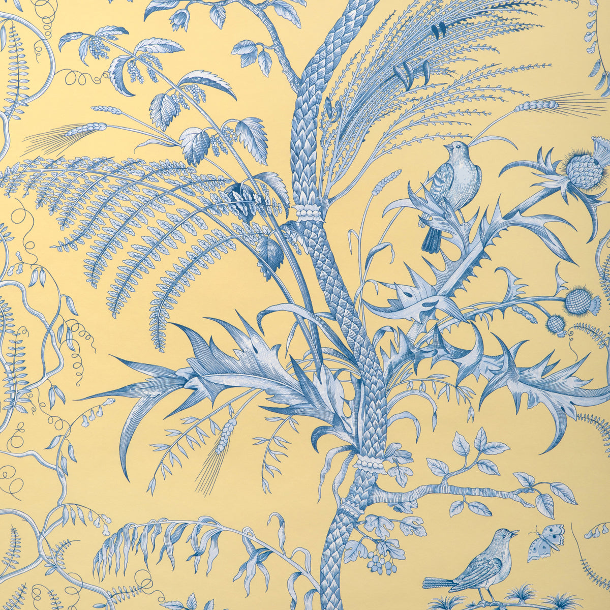 Bird And Thistle Ii - Sun