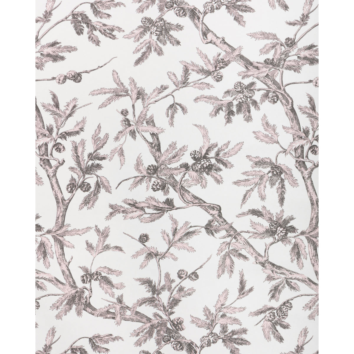 Branches De Pin Wc - Pink