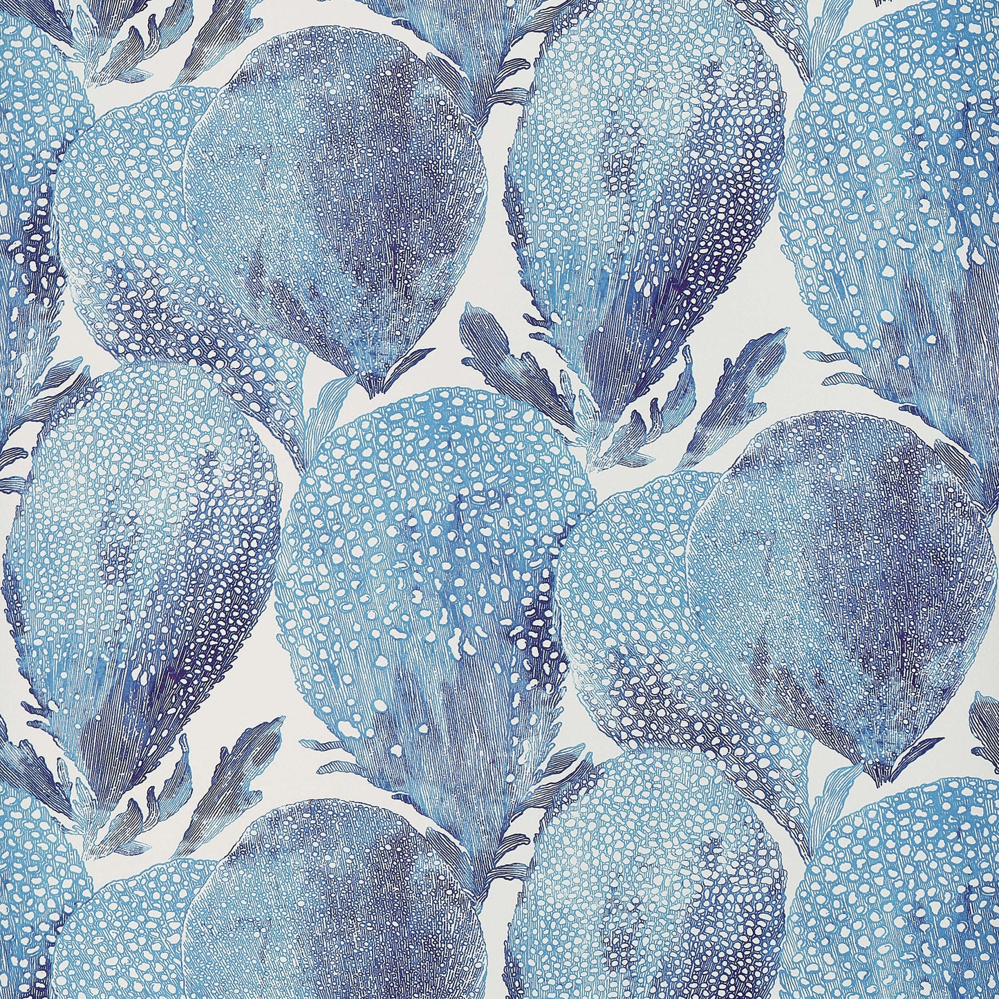 Islander Under The Sea Wallpaper