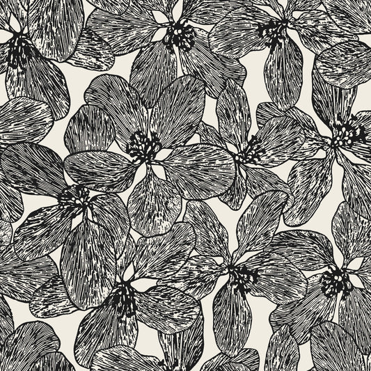 Islander Island Orchid Wallpaper