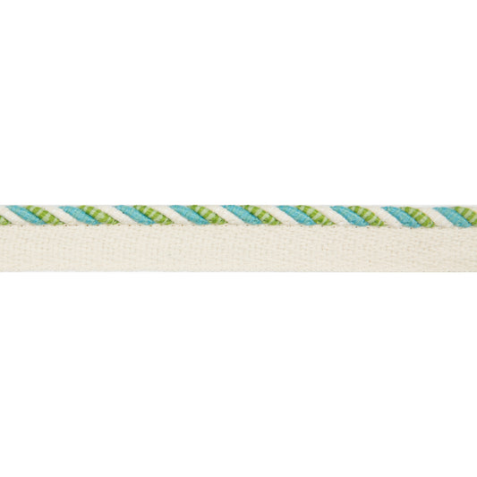 Carimar Cord Trim by Brunschwig & Fils in Lagoon
