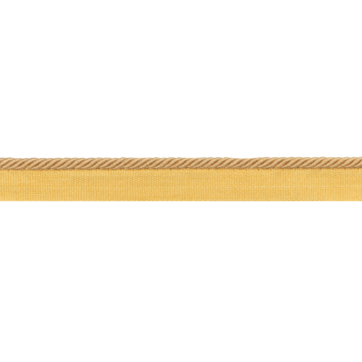 Picardy Cord Trim by Brunschwig & Fils in Yellow