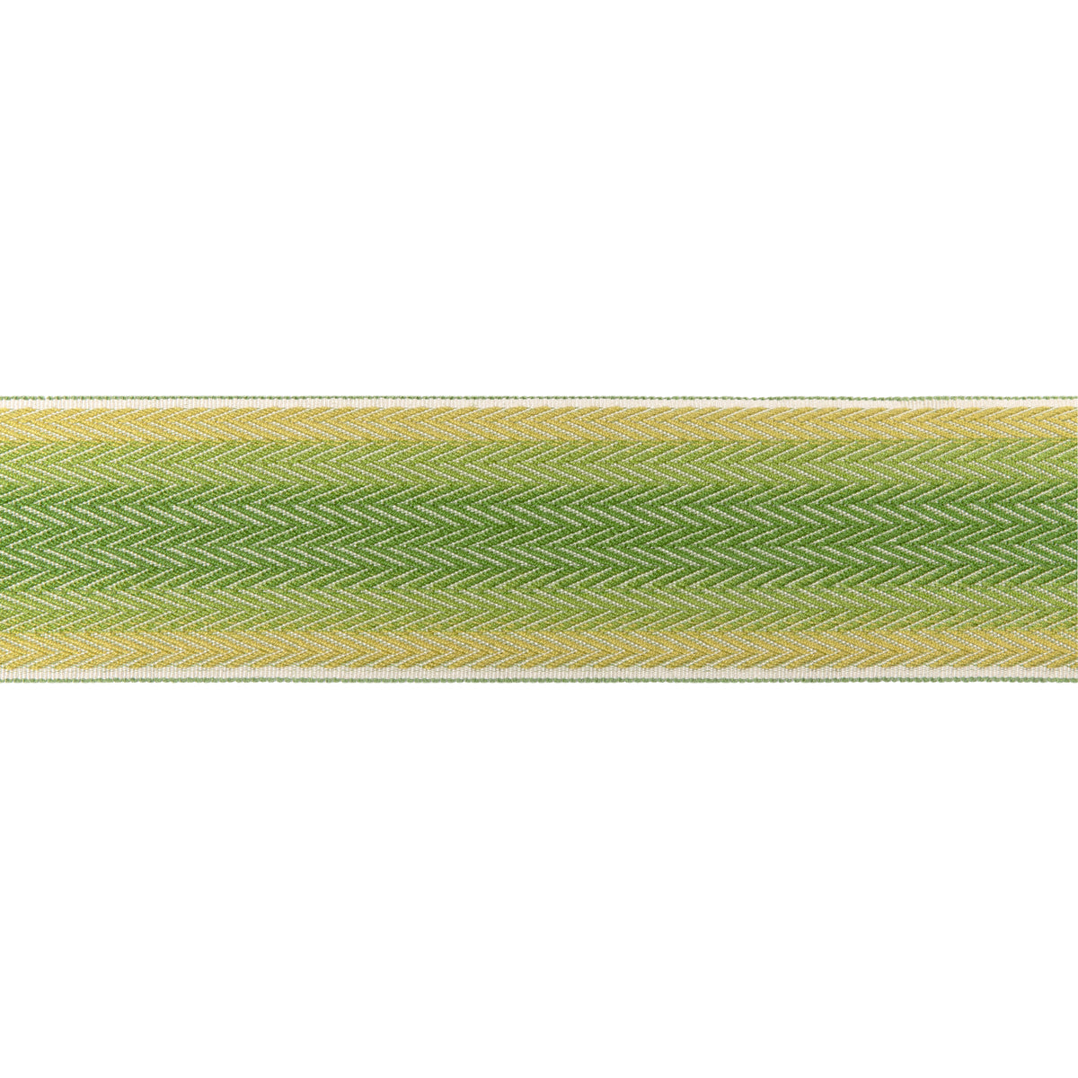 Barfleur Tape Trim by Brunschwig & Fils in Leaf