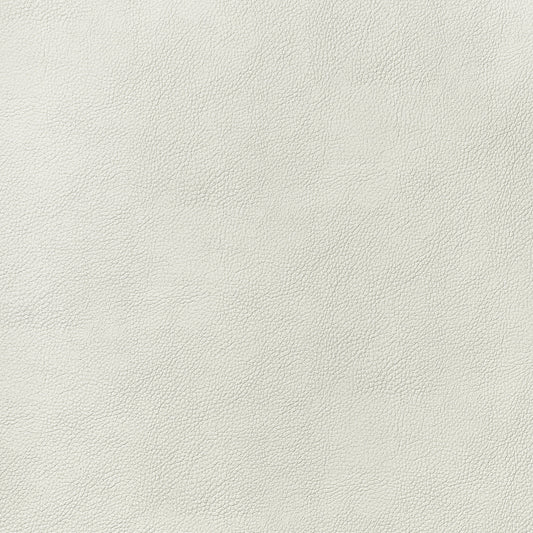 Arcata Fabric by Thibaut in Ivory (W78381)