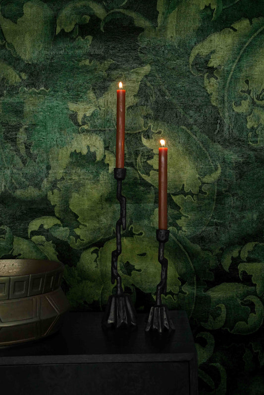 Aristoloche Cordofolia Mural by Watts 1874 in Verdant Noir