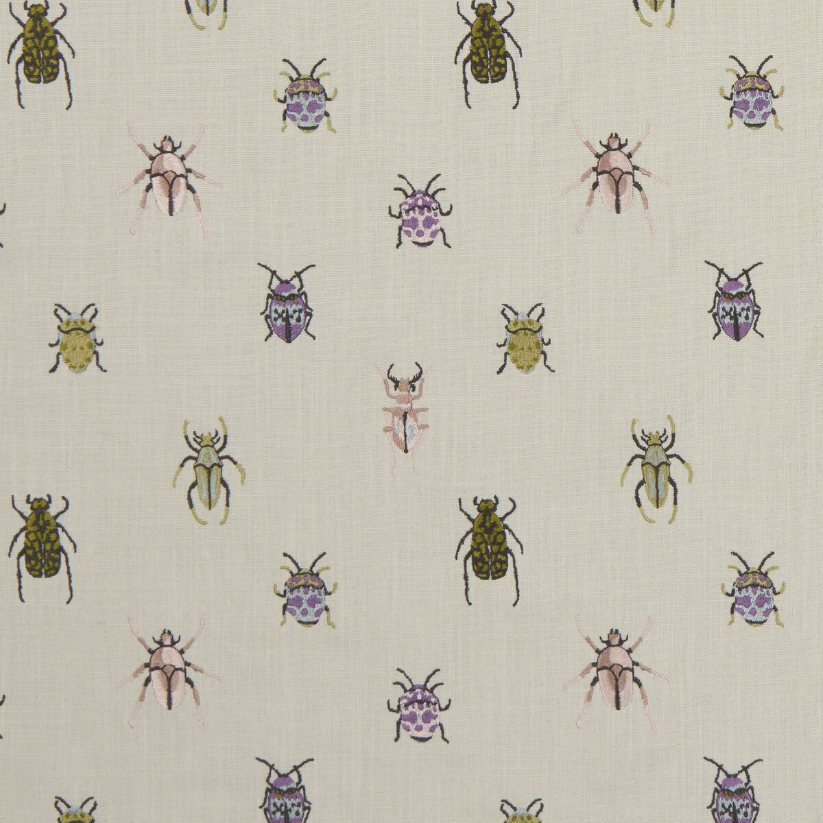 Beetle Multi fabric by Clarke & Clarke