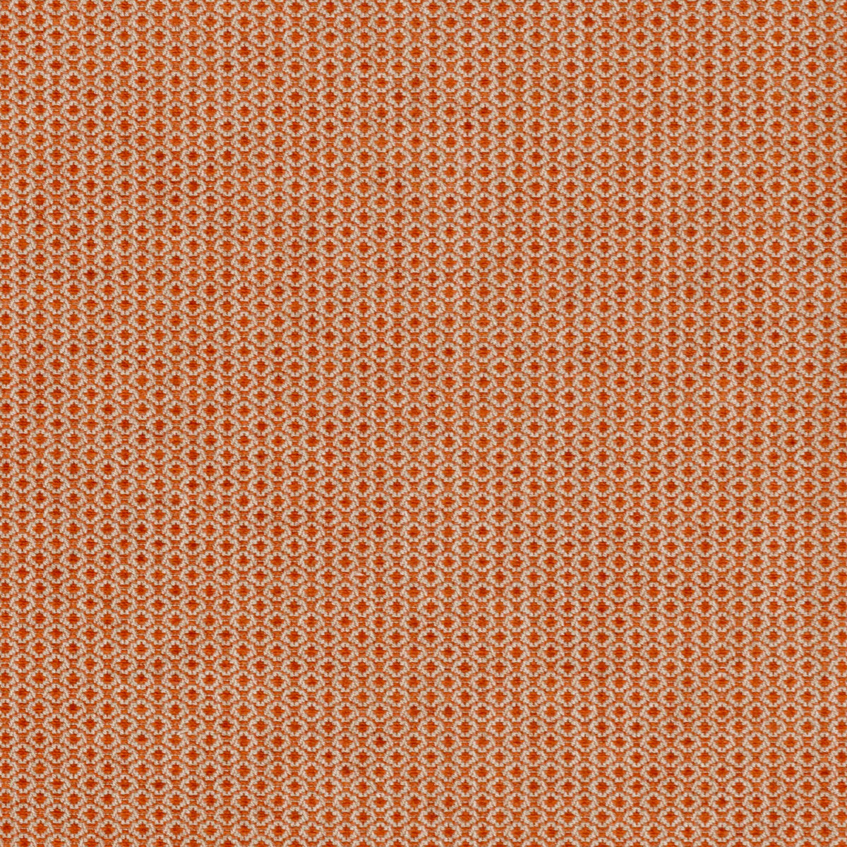 Cosgrove - Tangerine