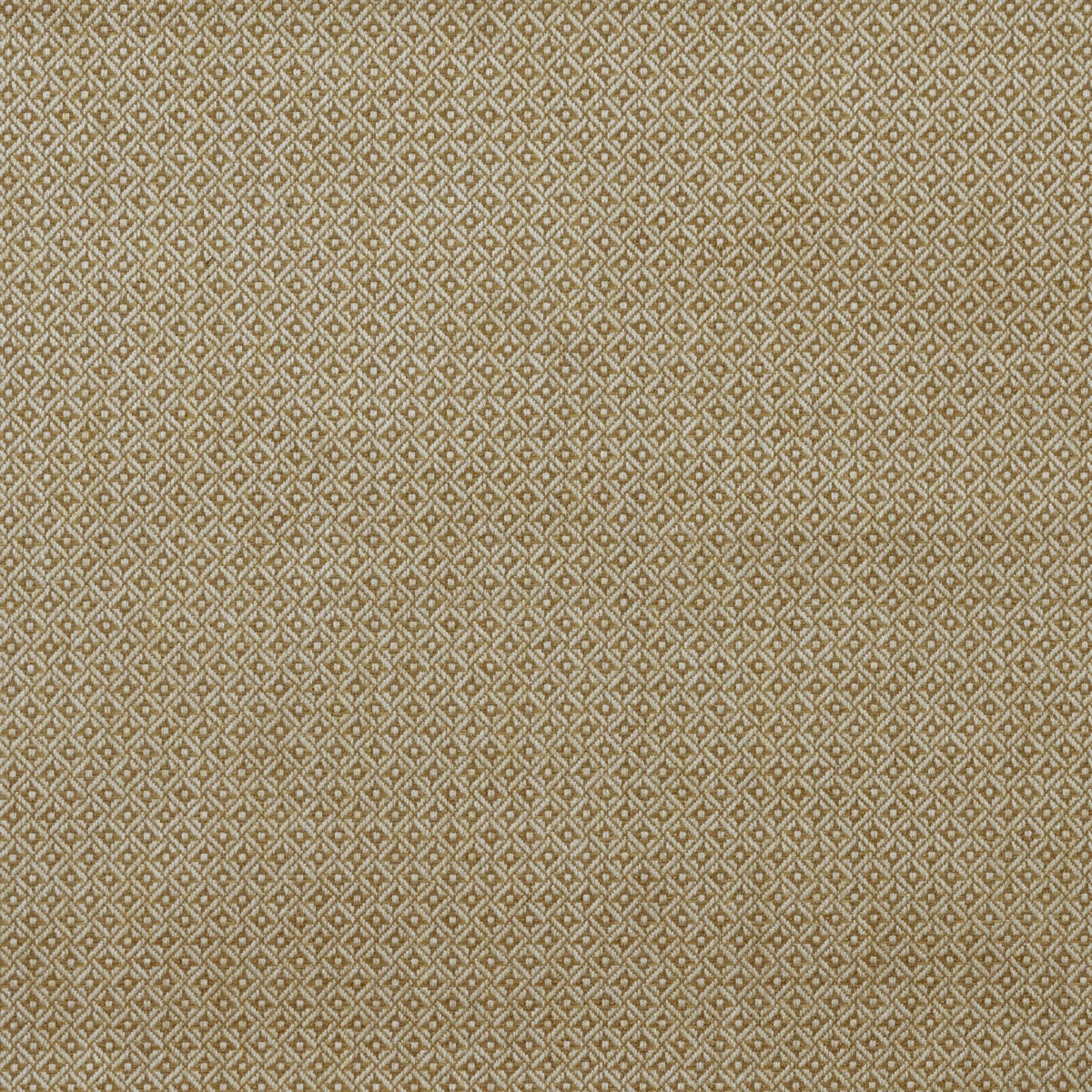 Cavendish - Wheat