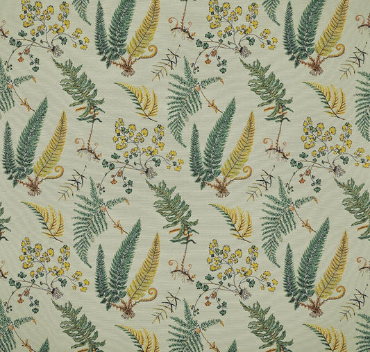 Botanique Fabric by Pierre Frey in Aquatique (F3886002)