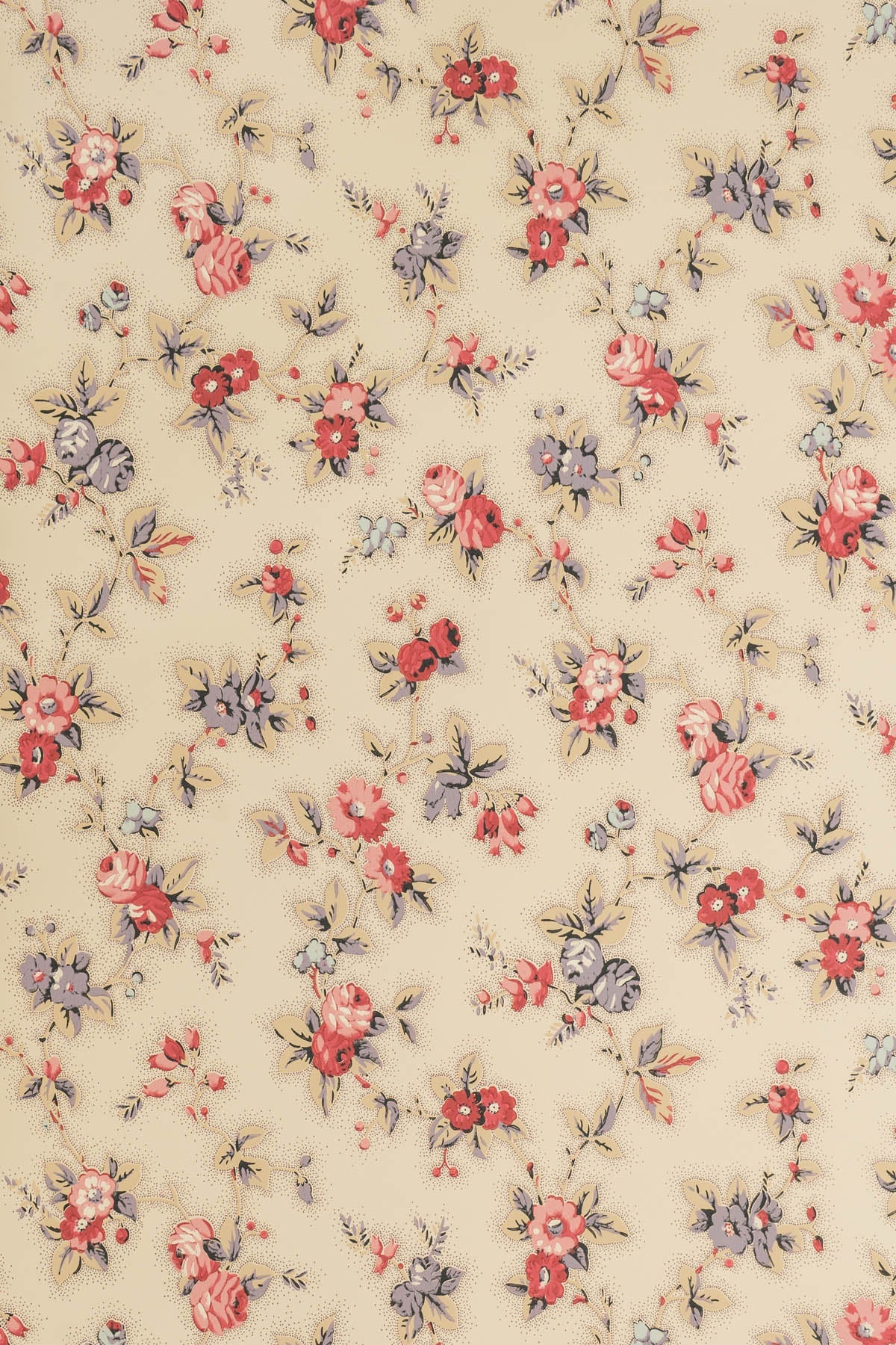 Cambridge Rose Wallpaper by Jean Monro in Document