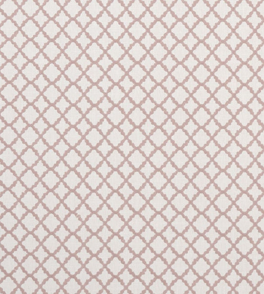 Ariyana Fabric by Clarke & Clarke Blush
