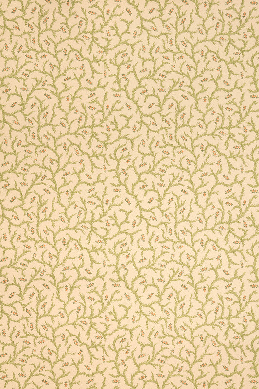 Clementine Wallpaper by Jean Monro in Document
