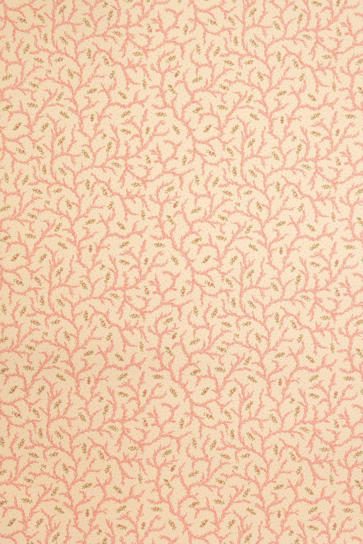 Clementine Wallpaper by Jean Monro in Strawberry