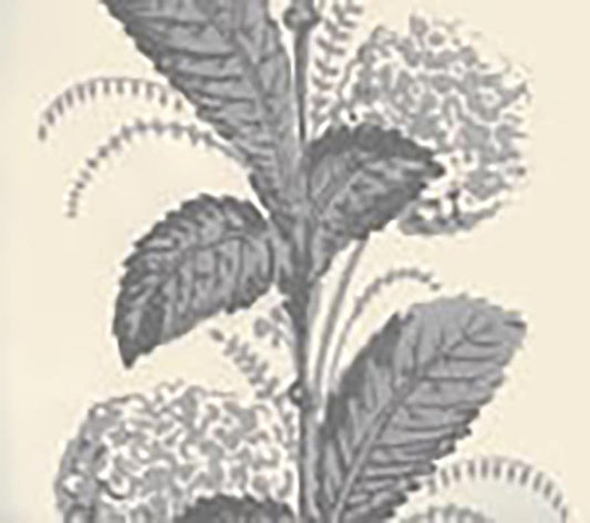 Climbing Hydrangea Gray wallpaper by Quadrille