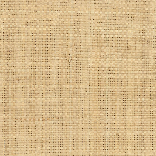 Raphia Naturel Fabric by CMO Paris in Natural Sand