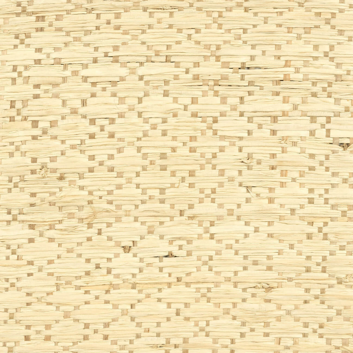 Raphia Joyau Fabric by CMO Paris in Natural
