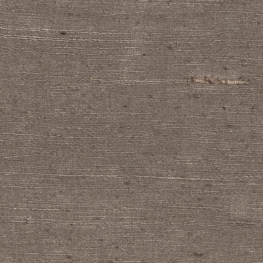 Soie Sauvage Fabric by CMO Paris in Taupe