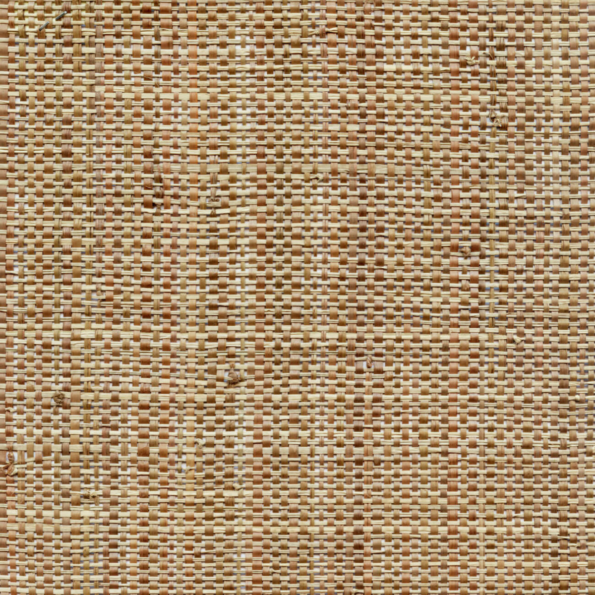 Raphia Chine Fabric by CMO Paris in Natural Bark
