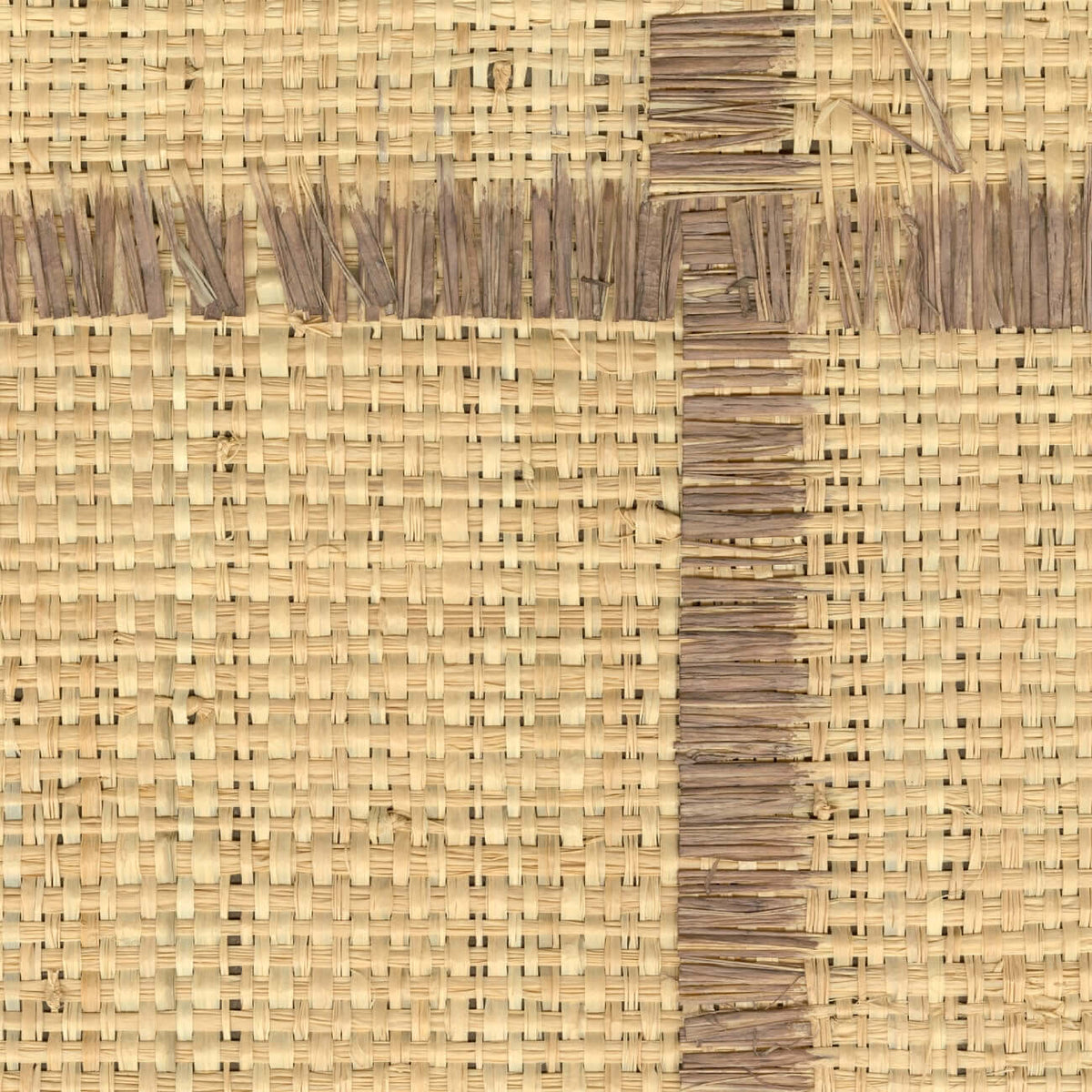 Raphia Cadre Wallpaper by CMO Paris in Tobacco