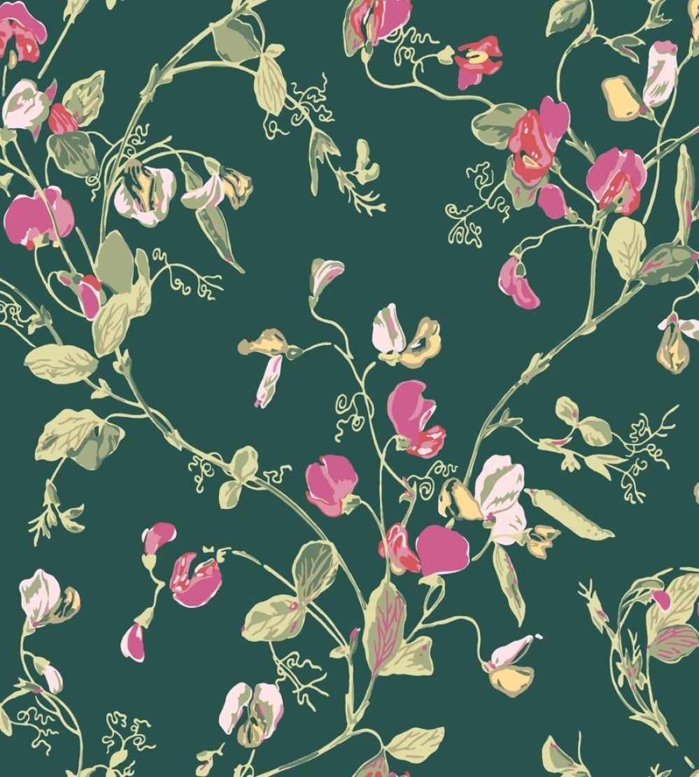 Sweet Pea Wallpaper by Cole & Son Cerise & Magenta on Viridian