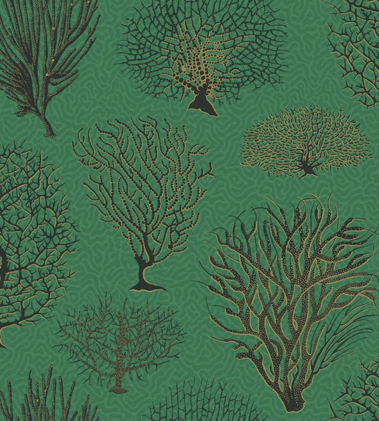 Seafern Wallpaper by Cole & Son 2007