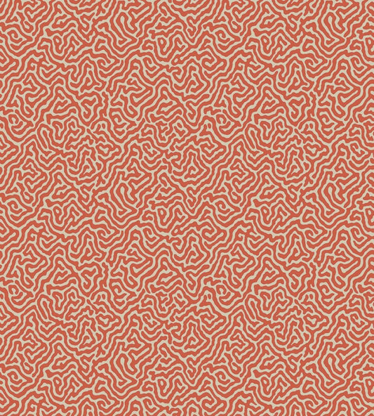 Vermicelli Wallpaper by Cole & Son 4018